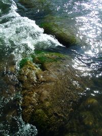 High angle view of water
