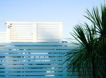 Low angle view of palm tree against building