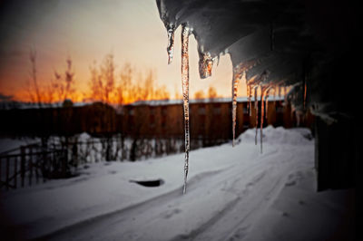 Snow covered field at sunset