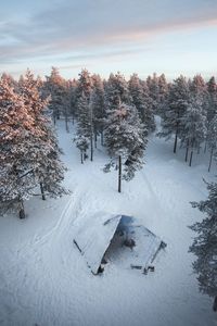 Trees on snow covered field against sky