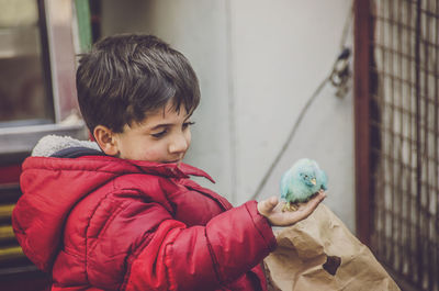 Boy looking at toy car