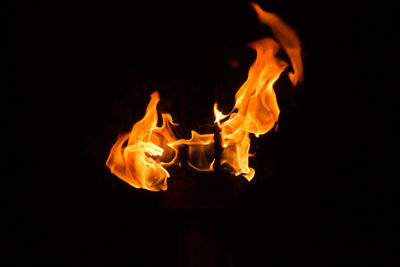 Close-up of bonfire against black background