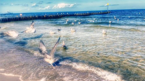 Scenic view of sea against sky