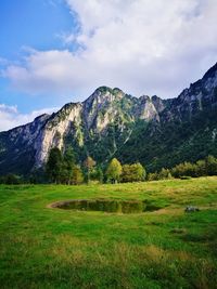 Scenic view of field against sky