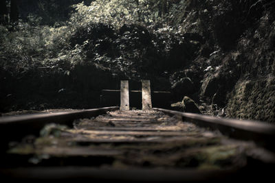 Surface level of railroad tracks