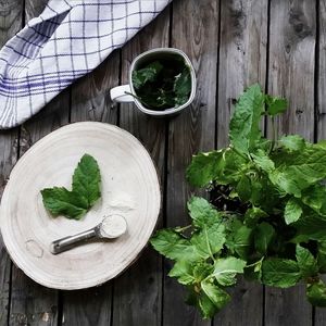 High angle view of herbs on table