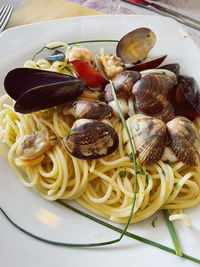 High angle view of shells in plate