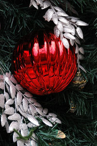 Close-up of red leaves