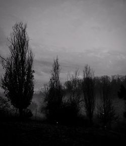 Silhouette trees on field against sky in foggy weather