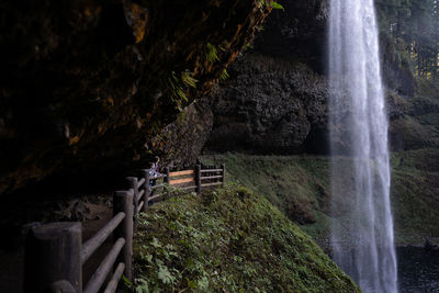 Scenic view of waterfall in forest