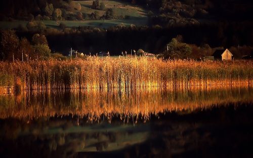 Scenic view of lake against sky at night