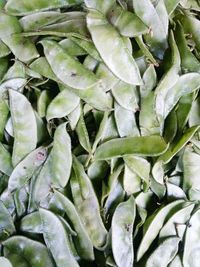 Full frame shot of vegetables