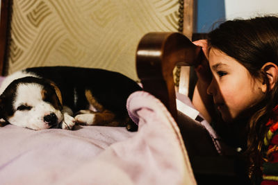 Portrait of dog relaxing at home