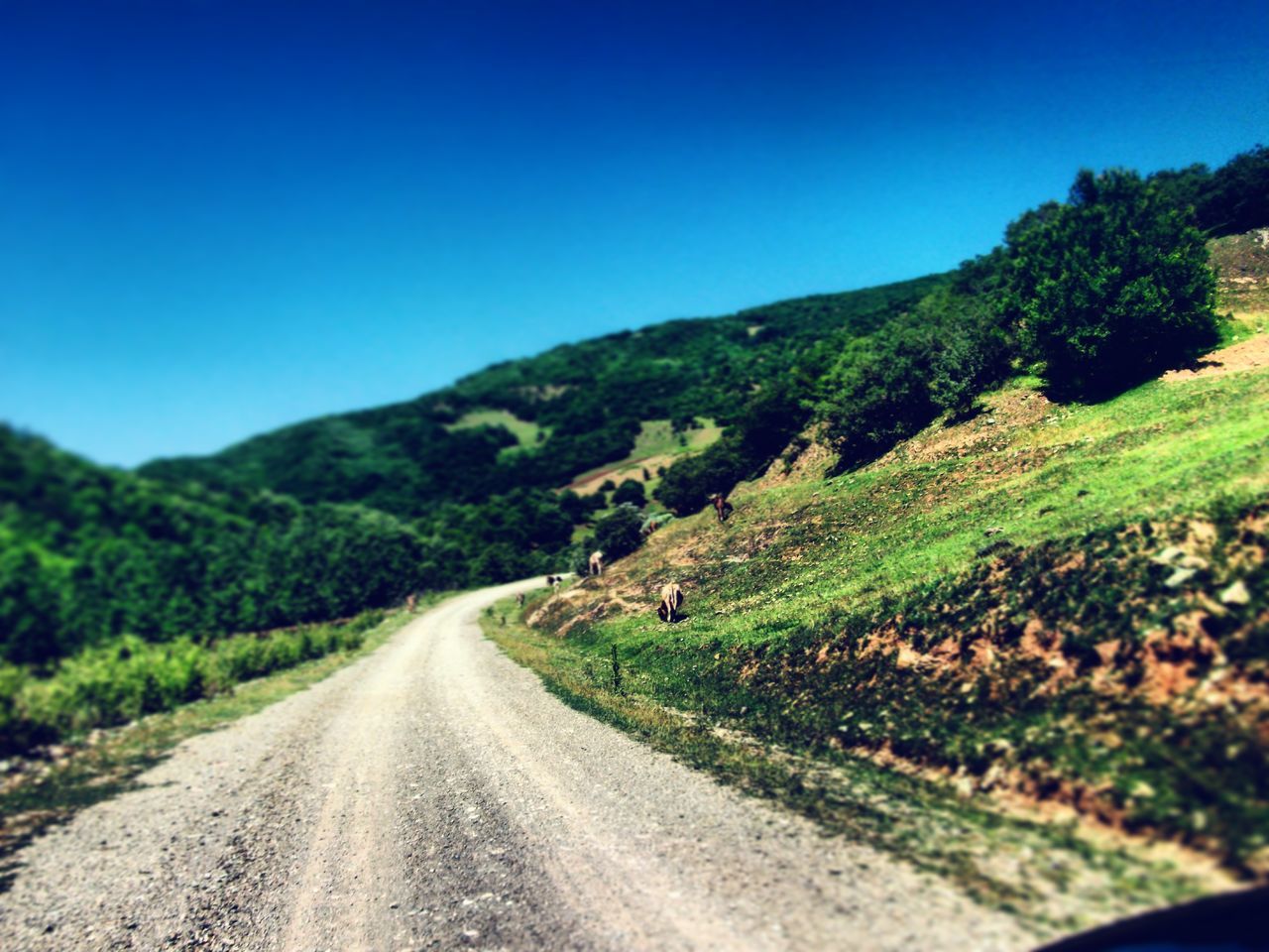 road, the way forward, clear sky, mountain, transportation, country road, landscape, diminishing perspective, blue, tranquil scene, tranquility, vanishing point, copy space, nature, tree, beauty in nature, scenics, non-urban scene, mountain range, countryside