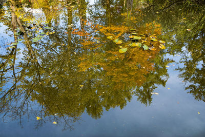 Low angle view of yellow autumn tree against sky