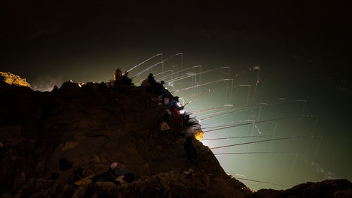 View of tree against sky