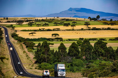 landscape