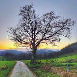 Road amidst bare trees on field against sky