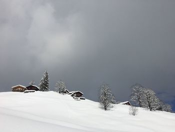 Snow covered land and trees against sky