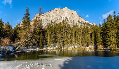 Scenic view of lake by trees against sky