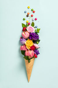 High angle view of multi colored flowers on white background