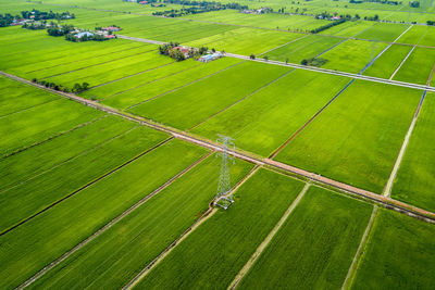 Scenic view of agricultural field