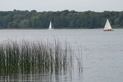 Boats in calm lake