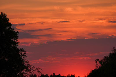 Low angle view of silhouette trees against dramatic sky