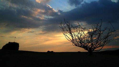 Silhouette bare tree against sky during sunset