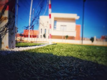 Surface level of soccer field against buildings