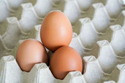 High angle view of eggs in container