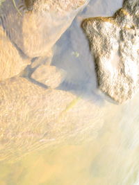 High angle view of rocks in sea