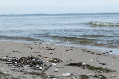 Close-up of beach against sky
