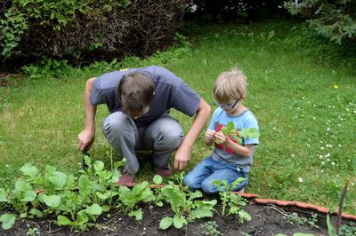 Father and son gardening at back yard