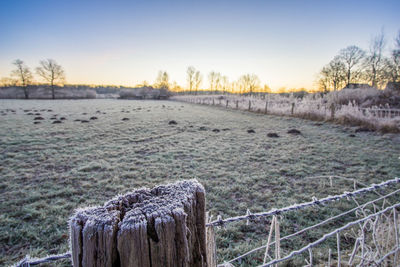 Scenic view of field against sky during sunset