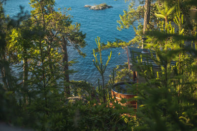 High angle view of trees by lake