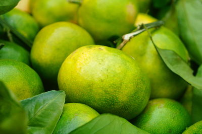 Full frame shot of oranges