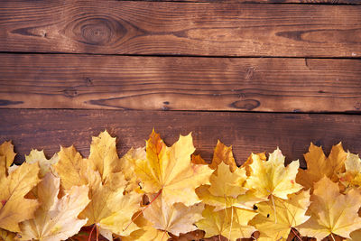 High angle view of maple leaves on wooden plank