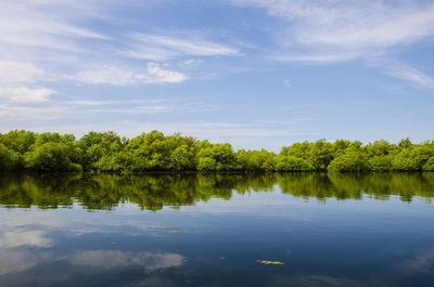 Scenic view of lake by trees against sky