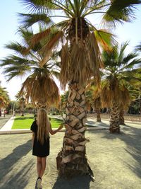 Rear view of woman walking on palm tree