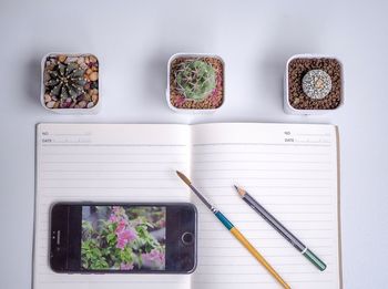 High angle view of potted plants on table