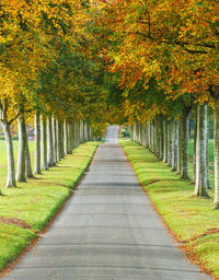 Footpath amidst trees during autumn