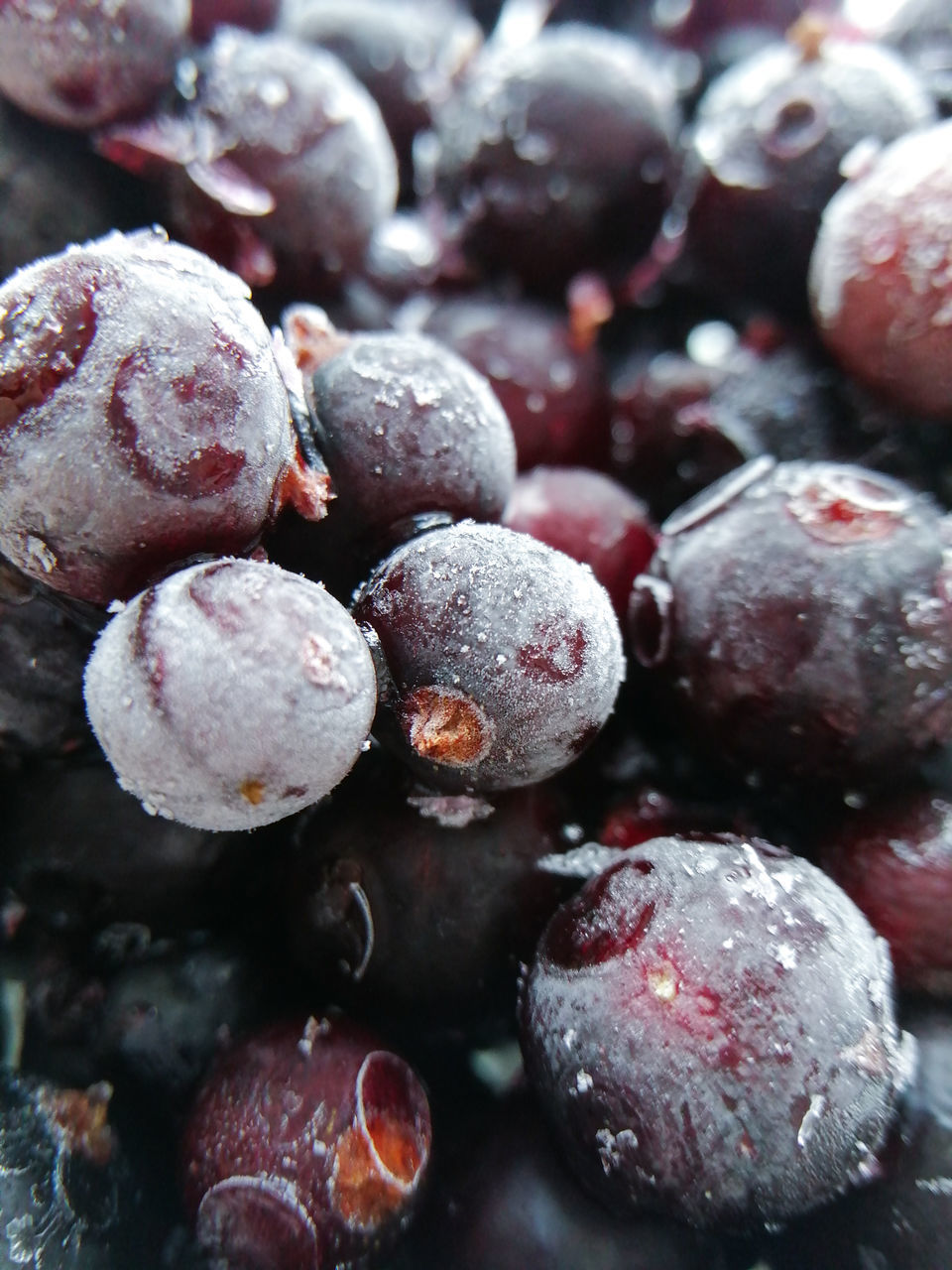 FULL FRAME SHOT OF FRUIT