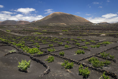 High angle view of townscape against sky