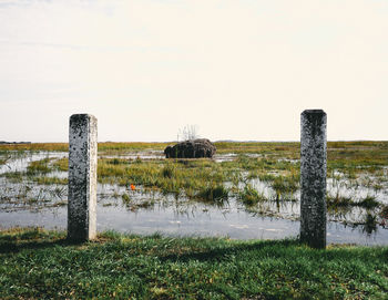 Poles by marshland against clear sky