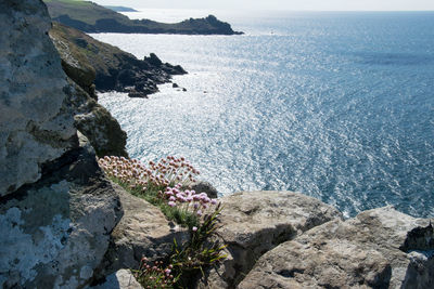 High angle view of rocks on beach against sky