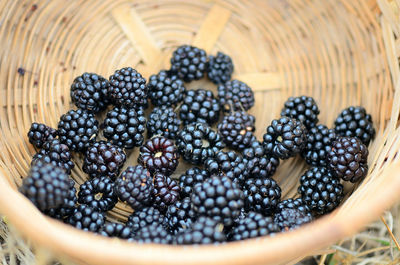 Close-up of berries