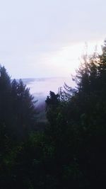 Scenic view of landscape and trees against sky