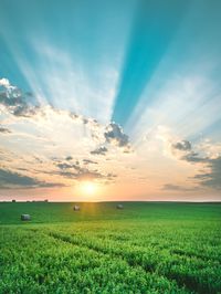 Scenic view of field against sky during sunset