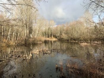 Scenic view of lake against sky